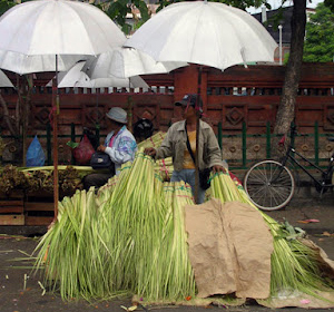 
					Pedagang janur di Pasar Badung. Janur menjadi bahan banten yang banyak dibutuhkan masyarakat Bali. (balisaja.com/sujaya)