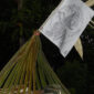 Sarana apacara tolak bala yang biasa digunakan manusia Bali sebagai permohonan kepada Tuhan agar dijauhkan dari segala wabah dan penyakit. (balisaja.com/I Made Sujaya)