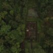 Hutan adat Desa Demulih dilihat dari udara. (balisaja.com/tim riset Sitadewiku)