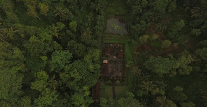 
					Hutan adat Desa Demulih dilihat dari udara. (balisaja.com/tim riset Sitadewiku)